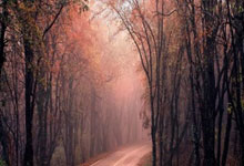 又是一个模型怪!近6场14+10,才20岁的他,已成球队未来希望!.