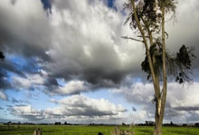 虎扑体育官网：[高尔夫]奥古斯塔国家女子业余赛4月2日开杆 刘弦获邀参赛.