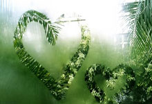 虎扑体育官网:2024年WTA年终总决赛分组抽签结果揭晓,郑钦文再遇老对手环球时报.