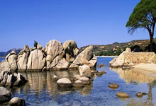 澳媒:历史性访华50年后,澳大利亚乒乓球运动员重返中国环球时报.